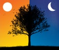 Dusk and night tree silhouette with sun and moon