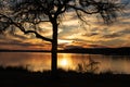 A beautiful Sunset Reflection Cloudscape and Silhouette of a Oak Tree found at Inks Lake State Park, Texas Royalty Free Stock Photo