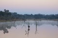 Dusk over a dam in the wild