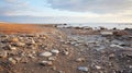 Dusk Over Dead Sea Captivating Beach Rocks In Rusty Debris Style