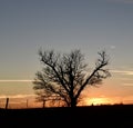 Dusk Over Ely