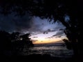 Dusk over the ocean seen through the trees Royalty Free Stock Photo