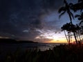 Dusk over the ocean seen through the trees Royalty Free Stock Photo