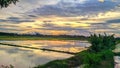 dusk red clouds clear sky water fields rice fields trees leaves grass Royalty Free Stock Photo