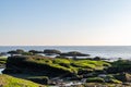 At dusk, the reef on the beach is covered with green algae, and the color is very beautiful