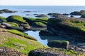 At dusk, the reef on the beach is covered with green algae, and the color is very beautiful