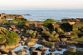 At dusk, the reef on the beach is covered with green algae, and the color is very beautiful