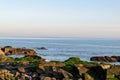 At dusk, the reef on the beach is covered with green algae, and the color is very beautiful