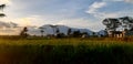 Dusk rice field mountains sky nature Royalty Free Stock Photo