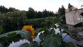 Dusk river front images of spokane Washington