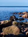 Dusk\'s Watchman: Corvus cornix on the Rocky Shore Royalty Free Stock Photo