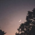 A Dusk Scene with a Backlit Photograph Featuring a Small Crescent Moon and Tree Silhouettes Royalty Free Stock Photo