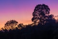 Dusk on the Song Dong Nai River in Cat Tien National Park Royalty Free Stock Photo