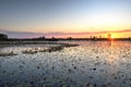 Dusk sunset over Grand Prairie, Okefenokee Swamp National Wildlife Refuge, Georgia Royalty Free Stock Photo