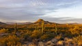 Dusk Time At Browns Ranch Desert Preseve In North Scottsdale, AZ Royalty Free Stock Photo