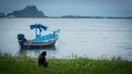 Duskey Monkey sitting in grace with Blue traditional fishing boat at anchor with trees in the background and reflection in the