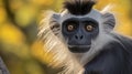 Dusky Leaf Monkey, AI Generative