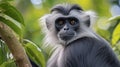 Dusky Leaf Monkey, AI Generative