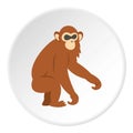 Dusky leaf monkey icon circle