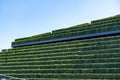 Dusseldorf - Green facade, Land Art Style by Christoph Ingenhoven on Koe Bogen II. Hornbeam hedges style three facades and roof. Royalty Free Stock Photo