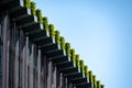 Dusseldorf - Facade in style of Land Art by Christoph Ingenhoven on Koe Bogen II. Hornbeam hedges style three facades and roof. Royalty Free Stock Photo