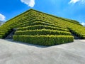 Dusseldorf, urban green facade in style of Land Art by Christoph Ingenhoven on Koe Bogen II. Hornbeam hedges, three facades, roof.