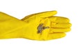 Hand in rubber glove holds dust balls, isolated, close up