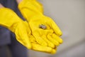 Hands in rubber gloves holding dust balls after cleaning