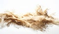 Dust Cloud Explosion on White Background Beige and Brown Abstract Particles Royalty Free Stock Photo