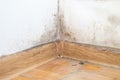 Dust in the corner of the room. real old neglected dusty dirt, dirty toxic mold and fungus bacteria on the white wall, skirting bo Royalty Free Stock Photo