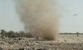 A Dust devil in Etosha National Park