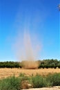 Dust devil in a field, State of Arizona, United States