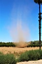 Dust devil in a field, State of Arizona, United States