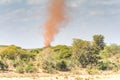 Dust devil at Kruger National Park, South Africa