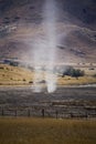 Dust Devil New Zealand