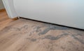 Dust and dirt on a wooden floor under the bed