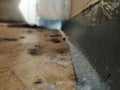 Dust on the floor of the dormitory