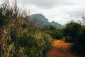 Dust path to the mountain, Kauai Hawaii USA