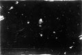 Dust and scratches on photographic paper - dark