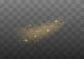 Dust sparks, golden stars shine special light. Royalty Free Stock Photo