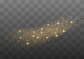 Dust sparks, golden stars shine special light. Royalty Free Stock Photo