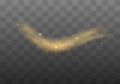 Dust sparks, golden stars shine special light. Royalty Free Stock Photo