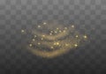 Dust sparks, golden stars shine special light. Royalty Free Stock Photo