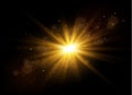 Dust sparks, golden stars shine special light. Royalty Free Stock Photo