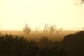 Dust Storm Australian Farm Royalty Free Stock Photo