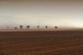 Dust Storm Australian Farm Royalty Free Stock Photo