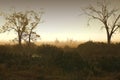 Dust Storm Australian Farm Royalty Free Stock Photo