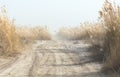 Dust from the SUV on the road with a cane Royalty Free Stock Photo