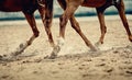 Dust under the horse`s hooves Royalty Free Stock Photo