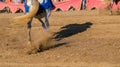 Dust under the horses hooves, Legs of a galloping horse Royalty Free Stock Photo